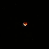 Have you seen the moon?（皆既月食 in 沖縄）